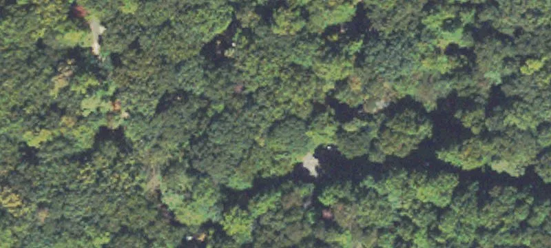 Wooded Cabin Community Lot