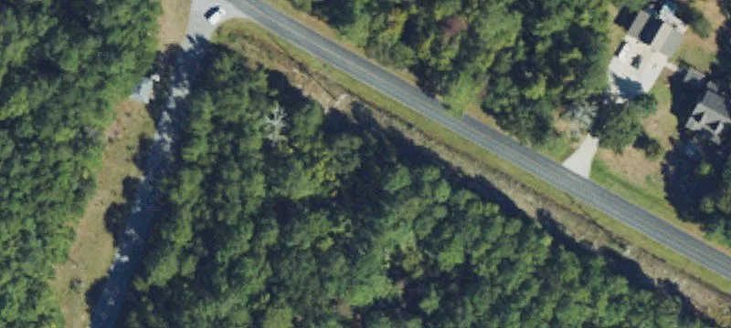 Buildable Residential Lot with Trees