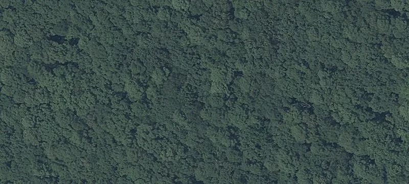 Wooded Rural Land Parcel