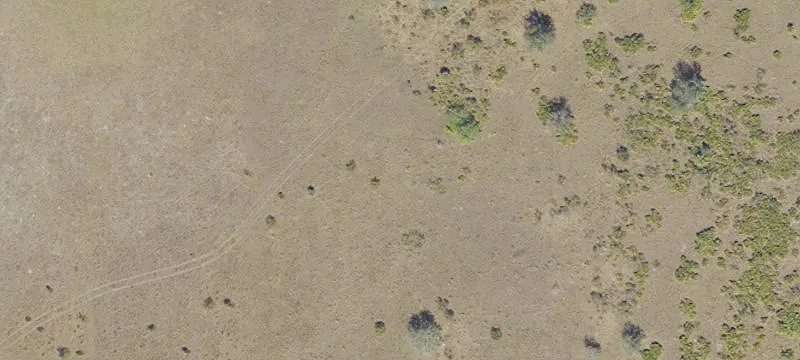 Secluded Recreational Hunting Land