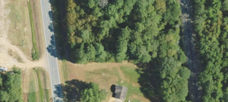 Recreational Timber Tract with Camp