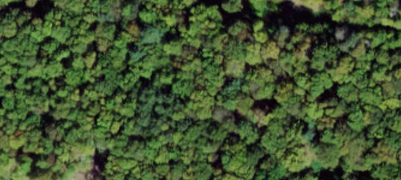 Catskills Development Land Parcel