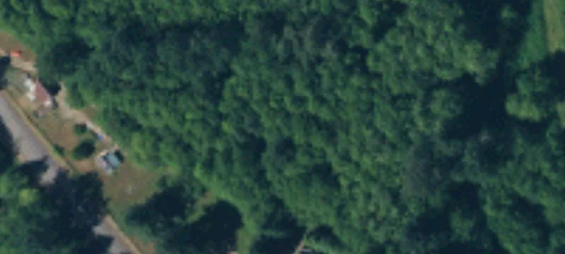 Timber and Seasonal Creek Property