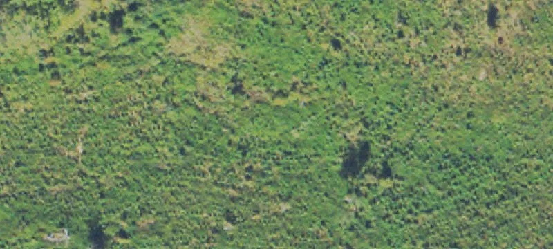 Land or Vacant Lot