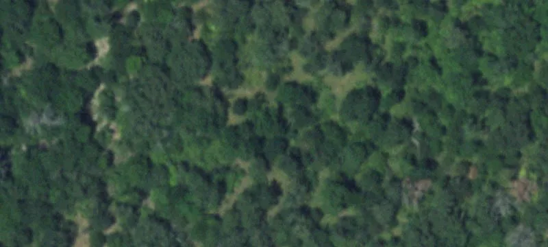 Cleared Country Homesite