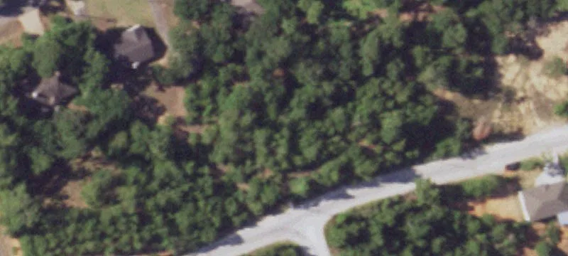 Residential Homesite with Tree Cover