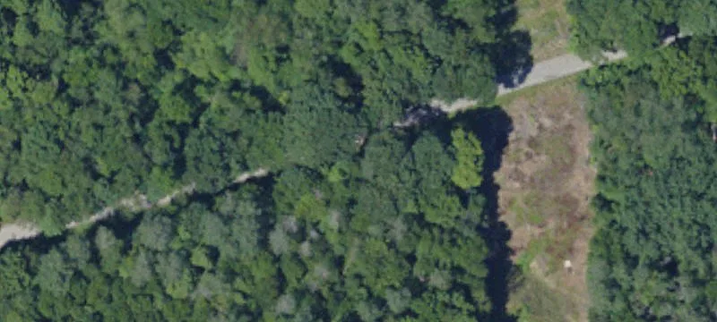 Wooded Recreational Land Tracts