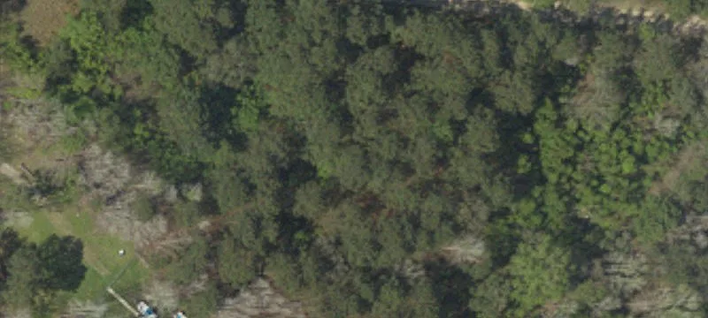 Wooded Corner Residential Lot