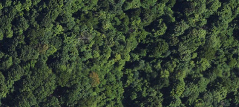 Rural Hunting Land with Dual Access