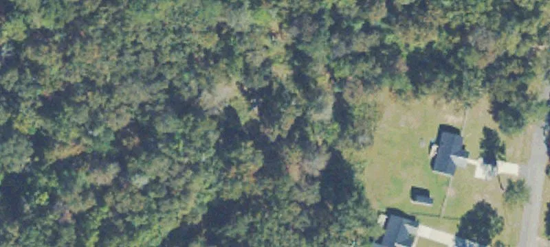 Wooded Home Site Acreage