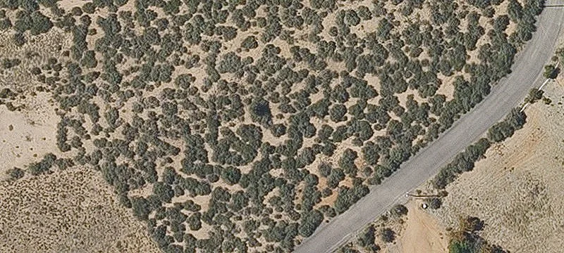 RV-Ready Homesite Parcel