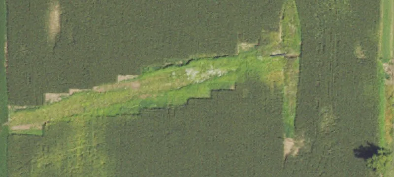 Wooded Hunting Tract with Pond