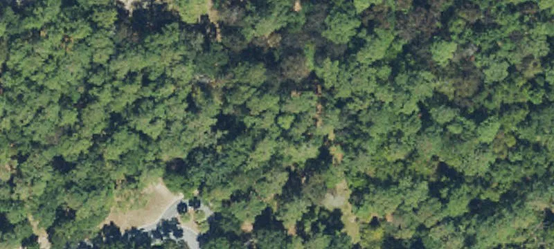 Wooded Waterfront Homesite on Cul-de-Sac
