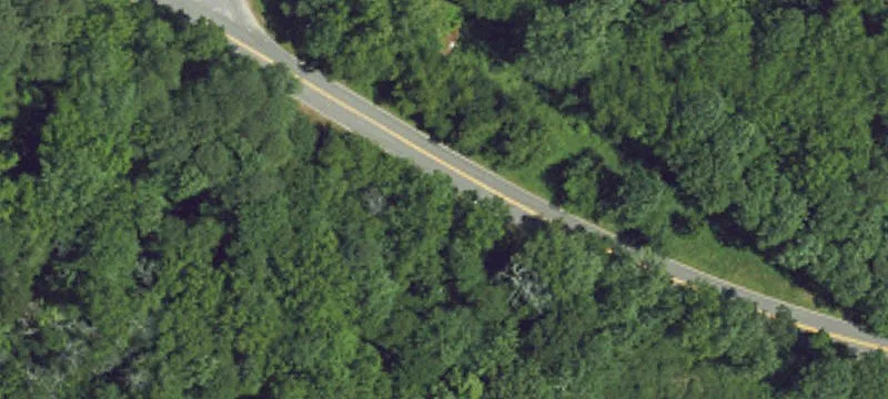Recreational Land with Spring Creek