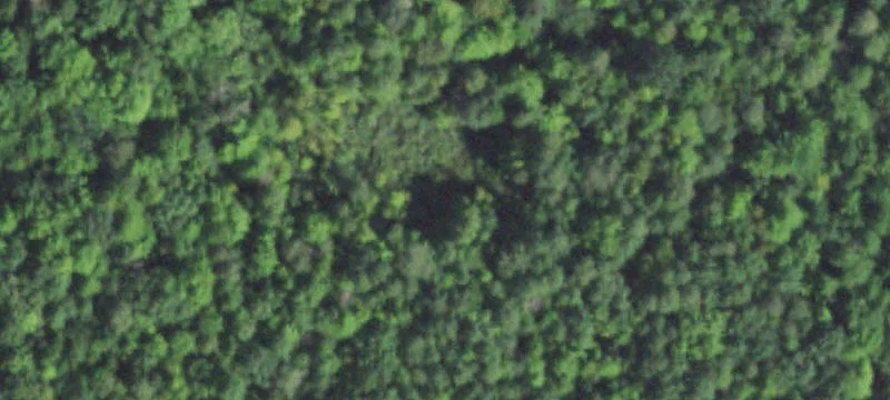 Recreational Land with Homestead Site