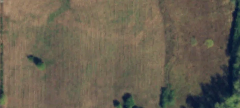 Approved Well and Septic Ready Land
