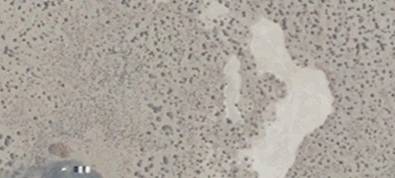 Ranch-Ready Farmland Parcel