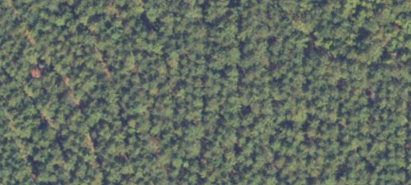 Specialty Property Tract
