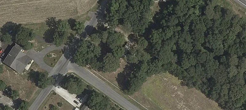 Partially Cleared Buildable Lot