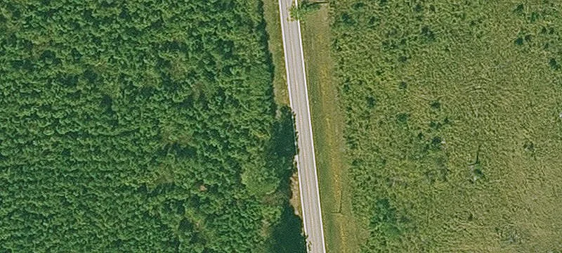 Recreational Timber Tract with Deep Well