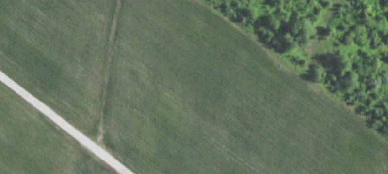 Sod Farm Property with Outbuildings