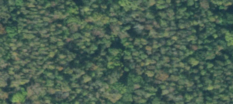 Agricultural and Timberland Tract