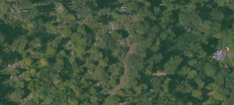 Agricultural Timber Producing Property