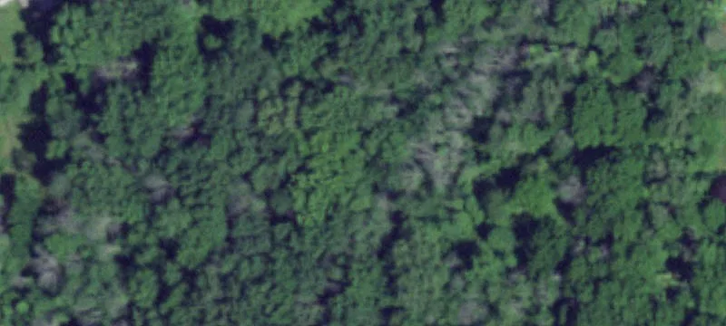 Wooded Senior Living Development Land