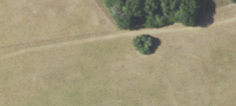 Pasture and Wooded Hunting Land