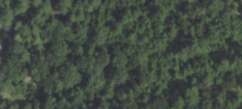 Wooded Cul-de-Sac Home Site