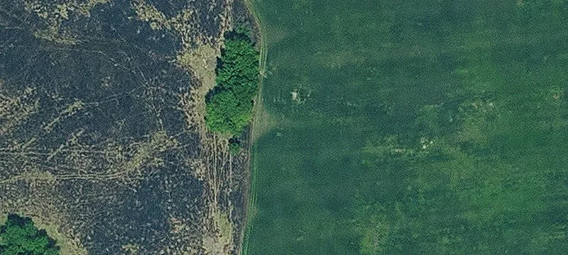 Agricultural Land with Live Water