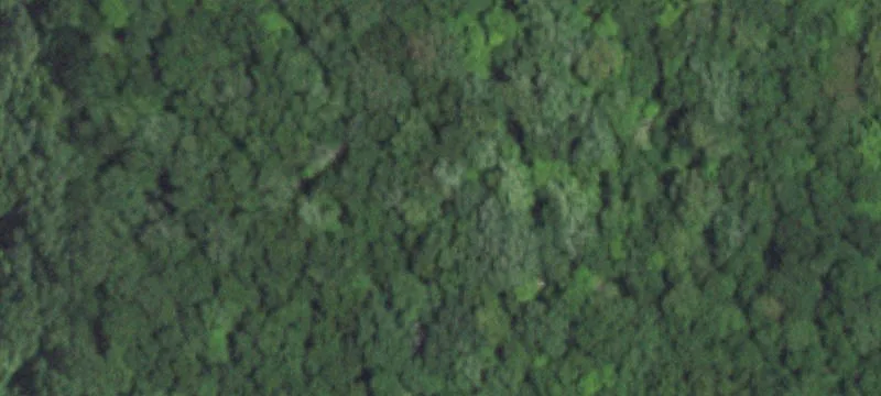 Cleared Residential Building Lot