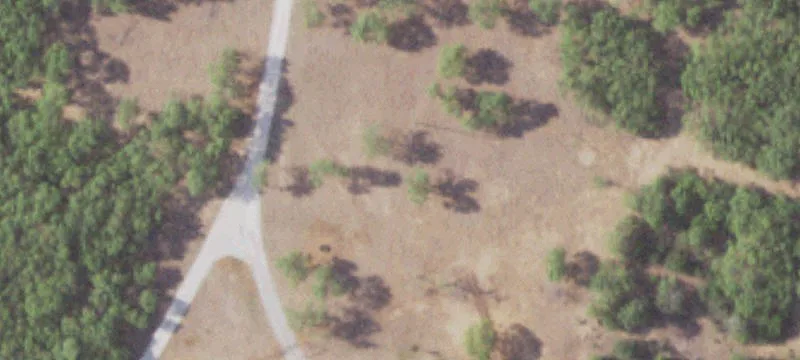 Texas Ranch with Equestrian Facilities
