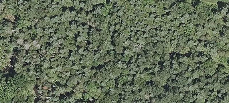 Wooded Waterfront Land Parcel