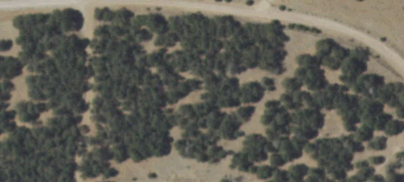 Residential Land with Wooded Terrain