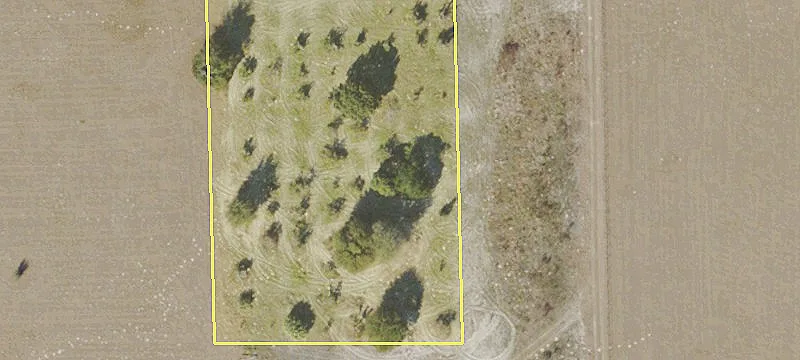 Specialty Property for Sale