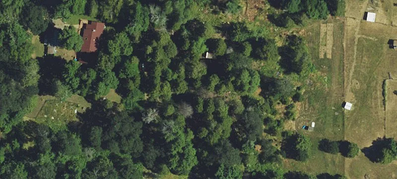 Wooded Timberland Parcel