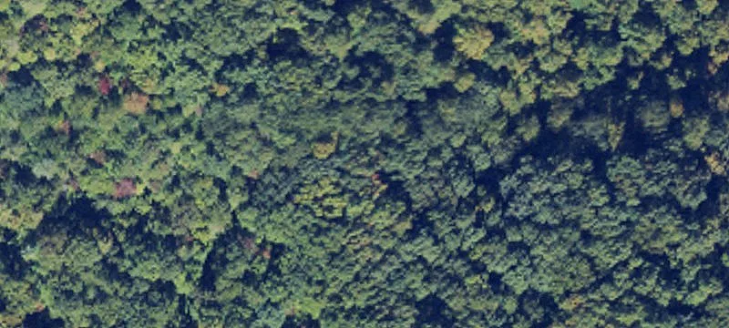 Wooded Recreational Land with Creek