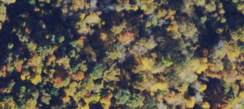 Scenic Hunting and Recreation Land