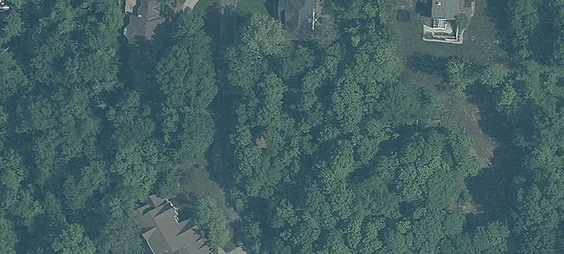 Wooded Residential Building Lot
