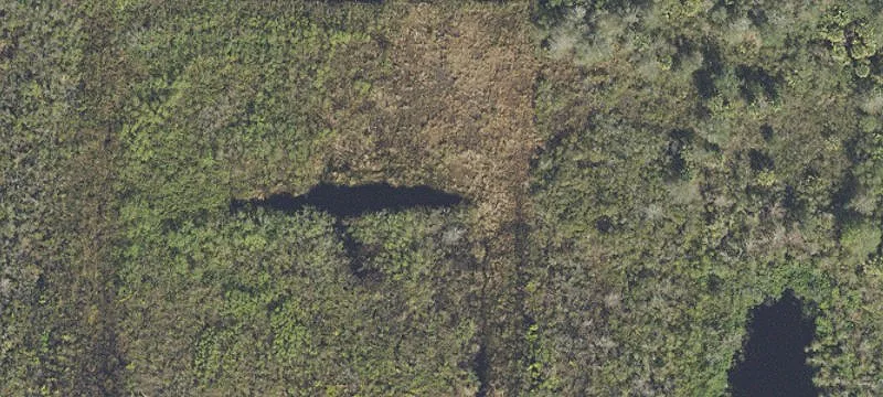 Agricultural Land with Multiple Lots