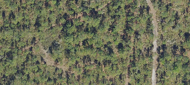 Turnkey Hunting Land Retreat