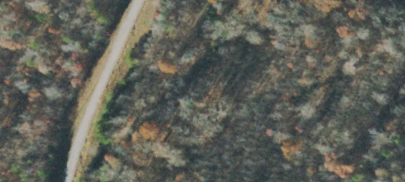 Gently Rolling Residential Land Parcel