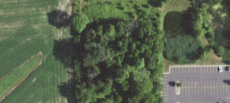 Two Wooded Residential Lots