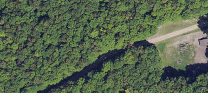 Wooded Hunting Land Parcel