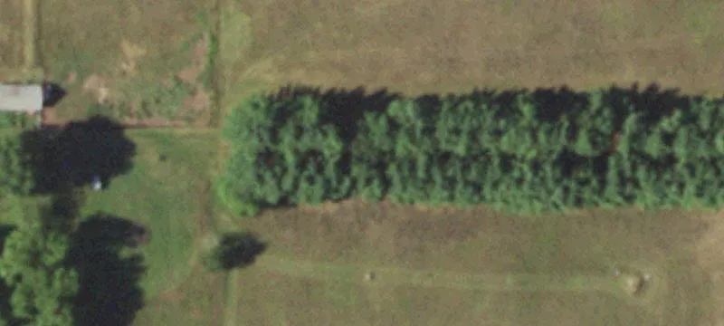 Raw Land with Dual Road Access