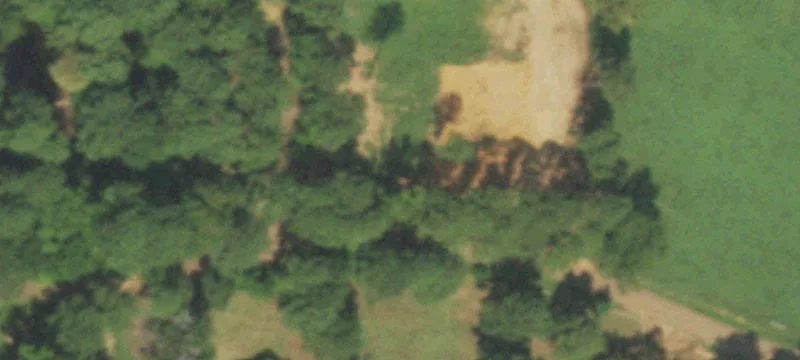 Unrestricted Wooded Land Tract