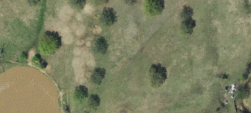 Recreational Pasture and Timber Land