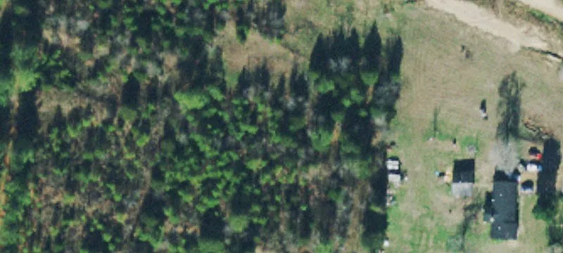 Wooded Land with Road Frontage