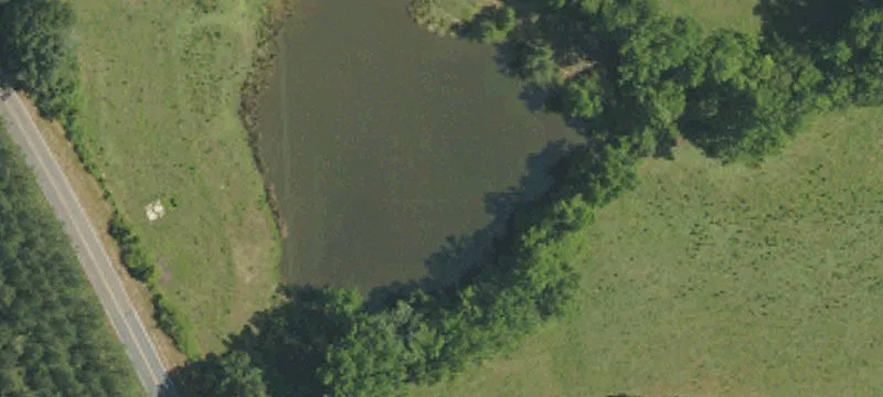 Wooded Creekfront Homesite Tract